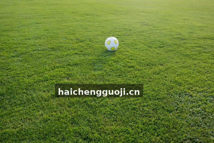 九游编辑部团队协作工作场景